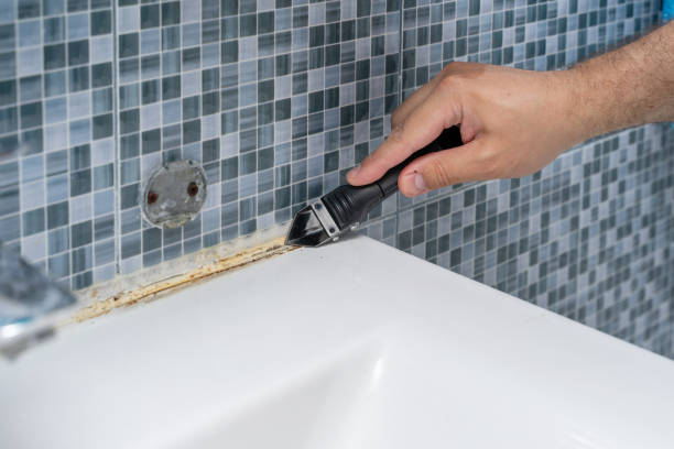 Best Certified Mold Removal  in Oxford, MI