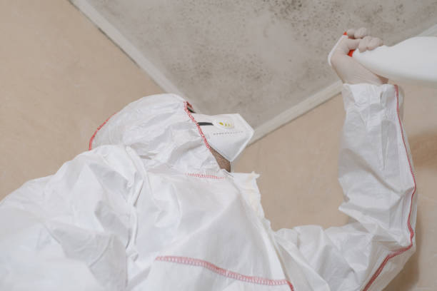 Best Local Mold Removal Service  in Oxford, MI